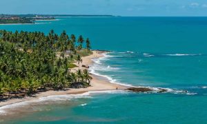 Coqueirinho As Falésias e Piscinas Naturais de João Pessoa