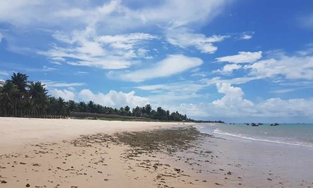 Praia da Penha O Refúgio Tranquilo para Relaxar em João Pessoa