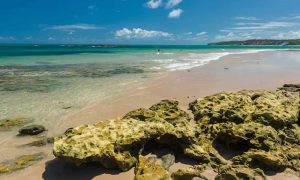 Praia de Carapibus Natureza Selvagem e Encantos Naturais