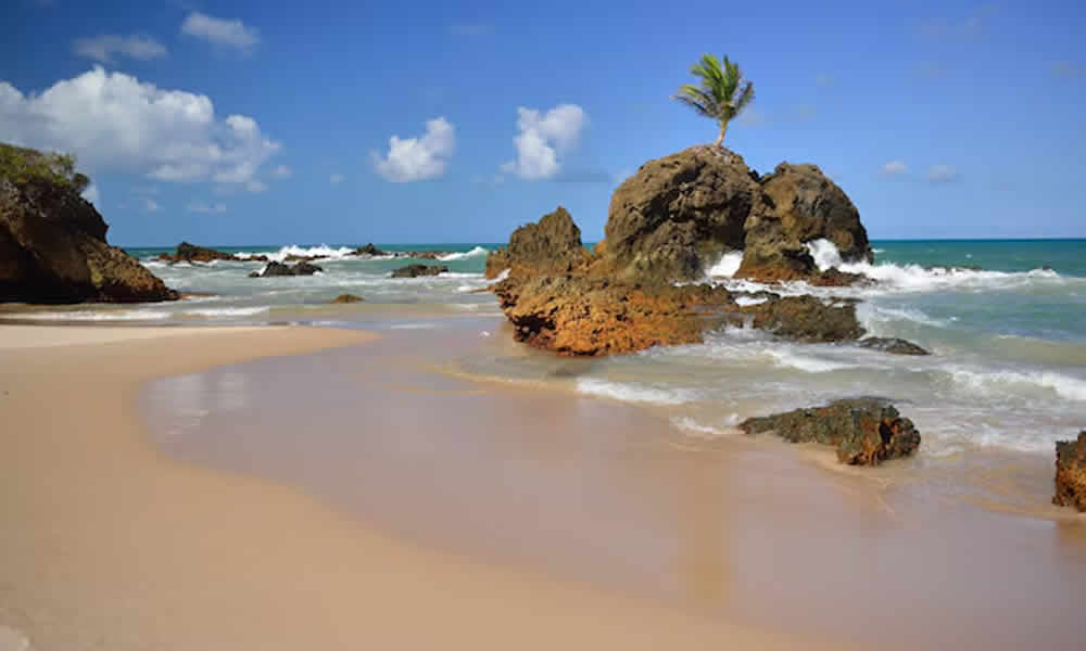 Praia de Tambaba Beleza Natural e Nudez Permitida no Sul de João Pessoa